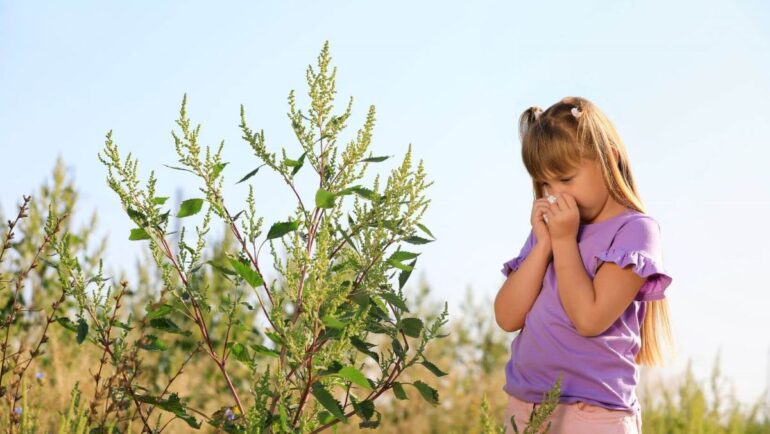 Alergia la Ambrozie - Ce este si la ce tratamente poti apela? 