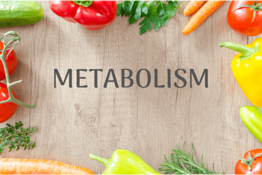metabolismul